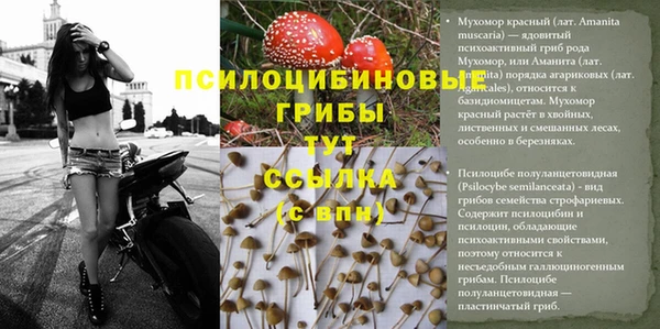 дистиллят марихуана Медвежьегорск