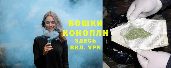 твердый Мегион