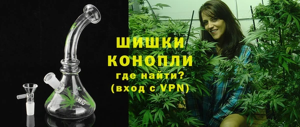 твердый Мегион