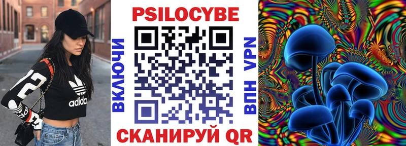 где купить наркоту  Малая Вишера  Галлюциногенные грибы Cubensis 